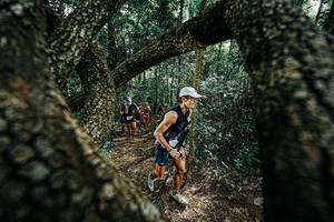 BIB: 
                            <button type="button" onclick="openModal(25392177)" class="btn btn-primary btn-sm float-right btn-popup" data-toggle="modal" data-target=".modal-high-quality">
                        <i class="fas fa-shopping-cart"></i> Add to Cart
                    </button>
                                            <button type="button" onclick="isThisMe(25392177, true)" class="btn btn-success btn-sm float-right btn-popup btn-isme hidden" data-toggle="tooltip" data-placement="bottom" title="นี่คือรูปของคุณใช่ไหม คลิกที่นี่เพื่อเอาเข้าอัลบั้ม">
                        <i class="fas fa-plus"></i> Add to album
                    </button>
                    <button type="button" onclick="isThisMe(25392177, false)" class="btn btn-warning btn-sm float-right btn-popup btn-isnotme hidden">
                        <i class="fas fa-ban"></i> Remove from album
                    </button>